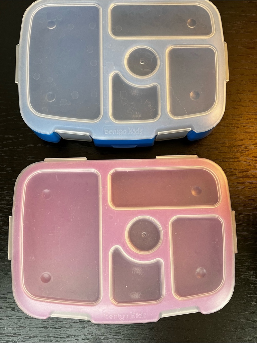 2-Pack Bento Lunch Boxes - Blue & Pink Bento Boxes